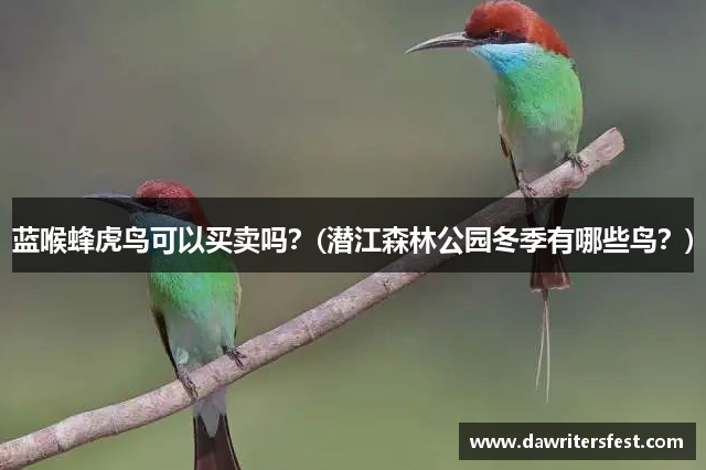 蓝喉蜂虎鸟可以买卖吗？(潜江森林公园冬季有哪些鸟？)
